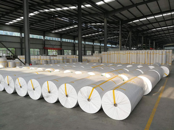 宣威狭缝式涤纶纺粘无纺布